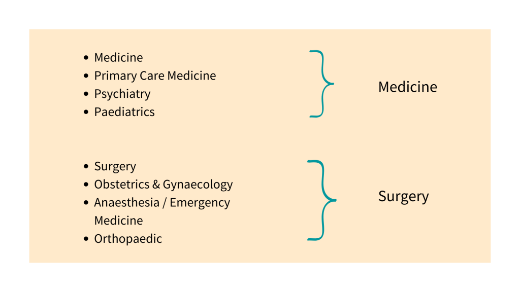 Modified Essay Questions (MEQs) and Short Essay Questions (SEQs) Pro Exam MBBS