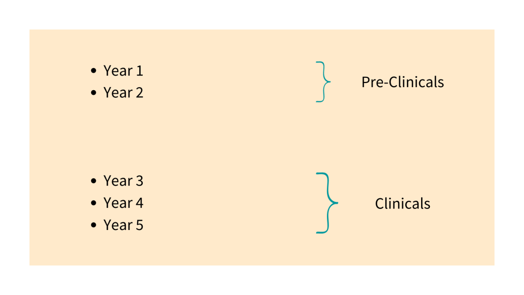 Preclinicals & clinicals in medical school.