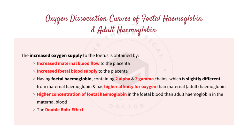 Oxygen dissociation curves of foetal haemoglobin and adult haemoglobin. Gaseous Exchange in STPM Biology Semester 2 Chapter 7