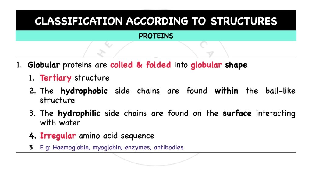 Classification according to composition of proteins. Proteins in STPM Biology Semester 1 Chapter 1