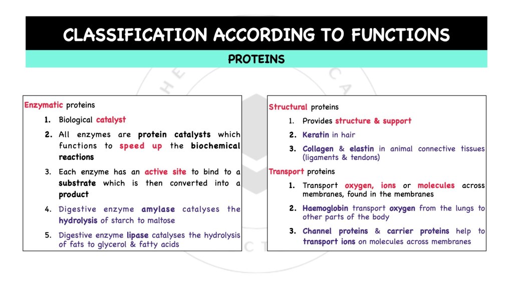 Classification according to composition of proteins. Proteins in STPM Biology Semester 1 Chapter 1
