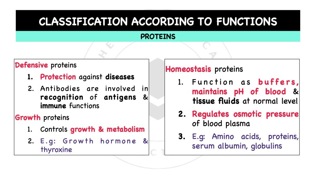 Classification according to composition of proteins. Proteins in STPM Biology Semester 1 Chapter 1