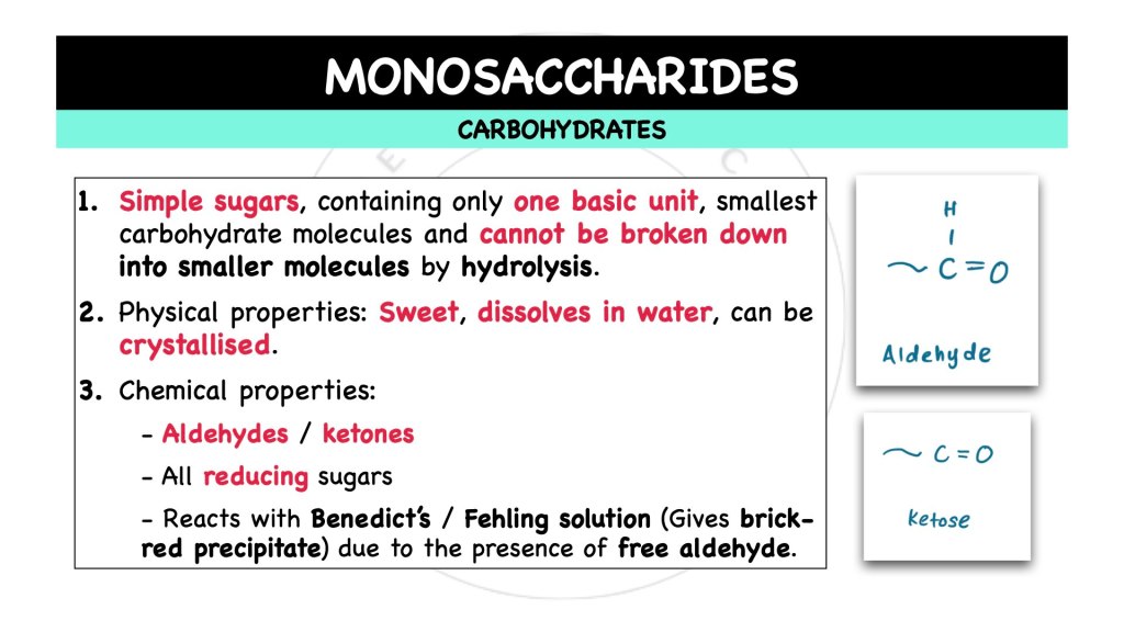 What is monosaccharides? Carbohydrates in STPM Biology Semester 1, Chapter 1