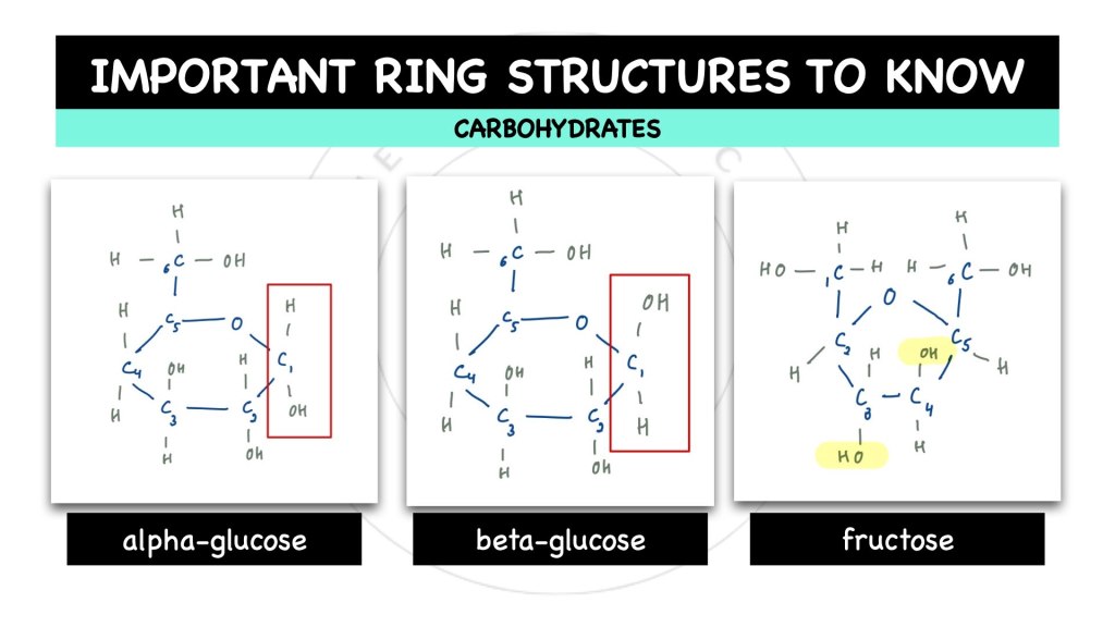 Ring structures in Disaccharides. Alpha-glucose, Beta-Glucose and Fructose. Carbohydrates in STPM Biology Semester 1, Chapter 1