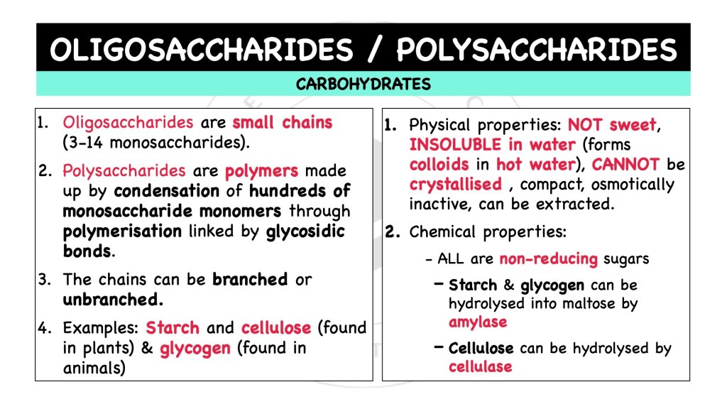 What are oligosaccharides? What are polysaccharides? Carbohydrates in STPM Biology Semester 1, Chapter 1