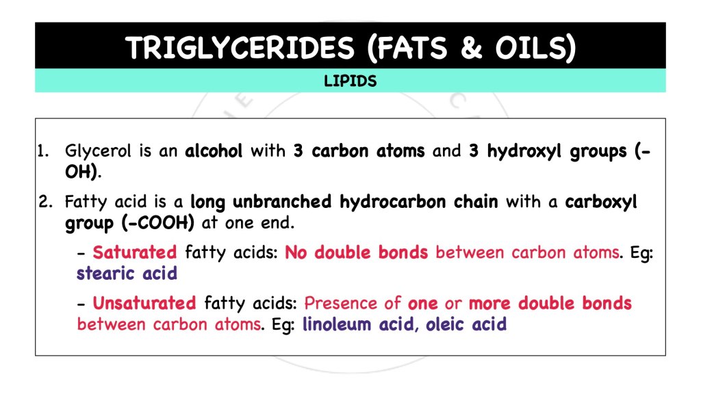 What are triglycerides? Lipids in STPM Biology Semester 1 Chapter 1