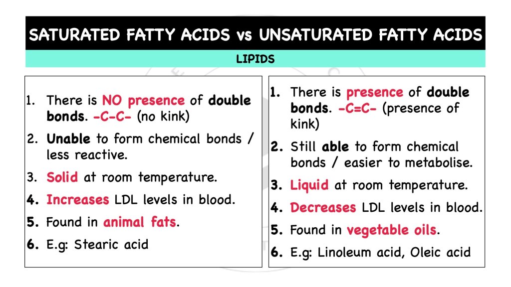 Differences between saturated fatty acids and unsaturated fatty acids? Lipids in STPM Biology Semester 1 Chapter 1