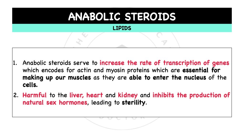 What are anabolic steroids? Lipids in STPM Biology Semester 1 Chapter 1