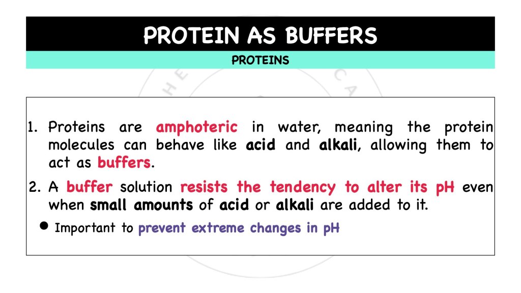 How does proteins act as buffers? Proteins in STPM Biology Semester 1 Chapter 1