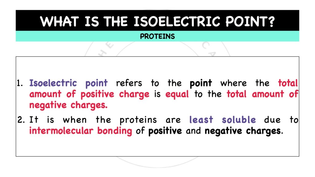 What is isoelectric point? Proteins in STPM Biology Semester 1 Chapter 1