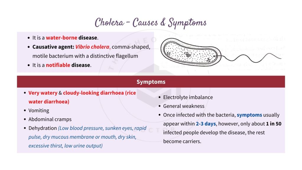 Causes and symptoms of cholera. Infectious Disease in STPM Biology Semester 2 Chapter 13