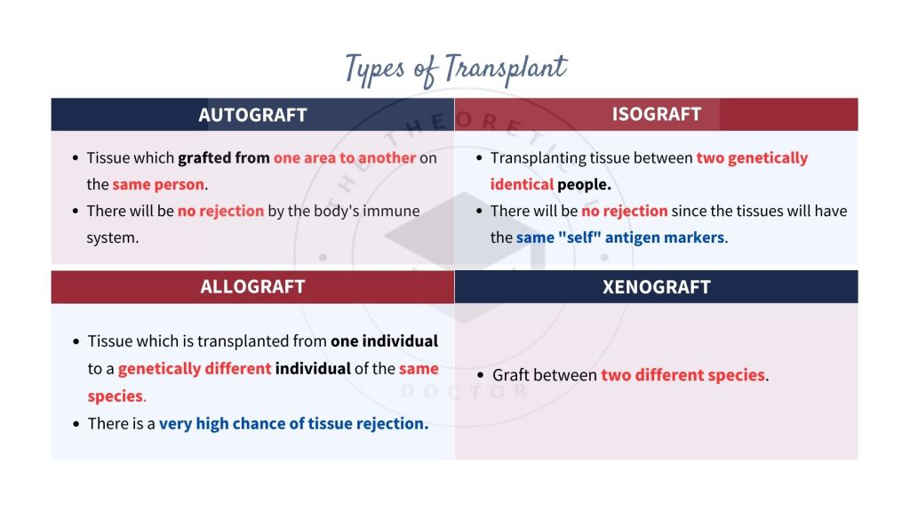 Explanation on the types of transplantation such autograft, isograft, allograft and xenograft