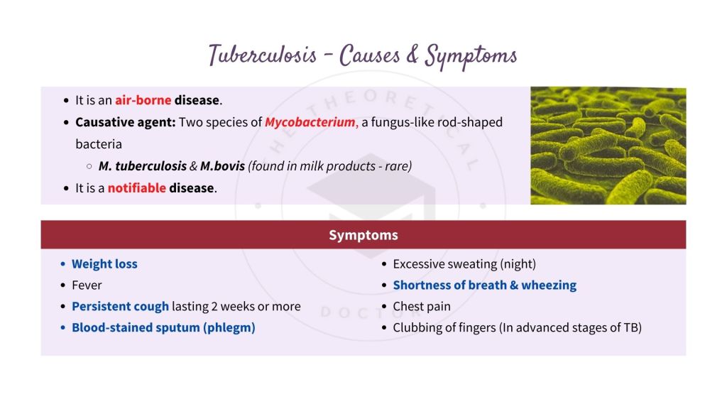 Causes and symptoms of tuberculosis. Infectious Disease in STPM Biology Semester 2 Chapter 13