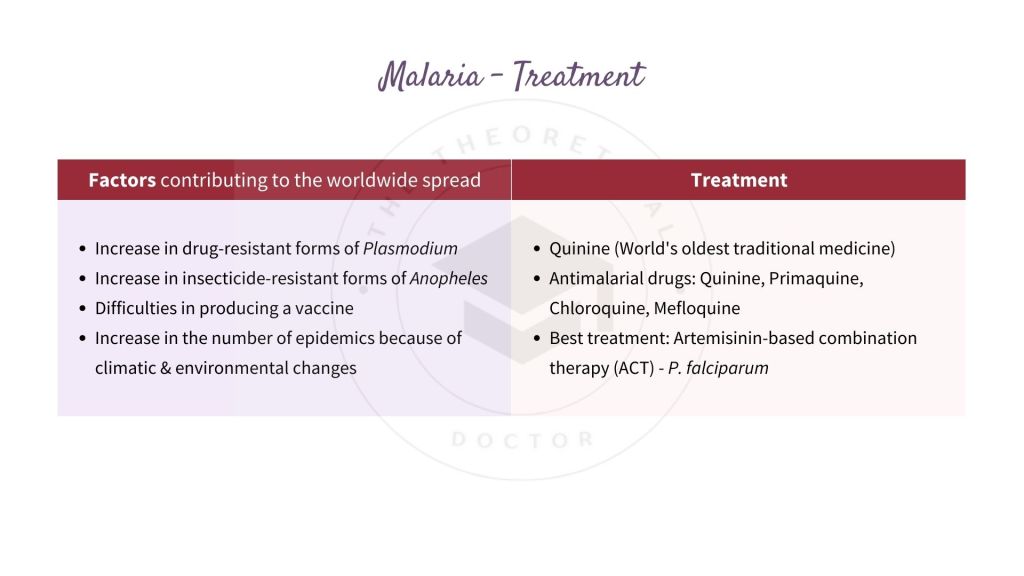 Treatment of malaria. Infectious Disease in STPM Biology Semester 2 Chapter 13
