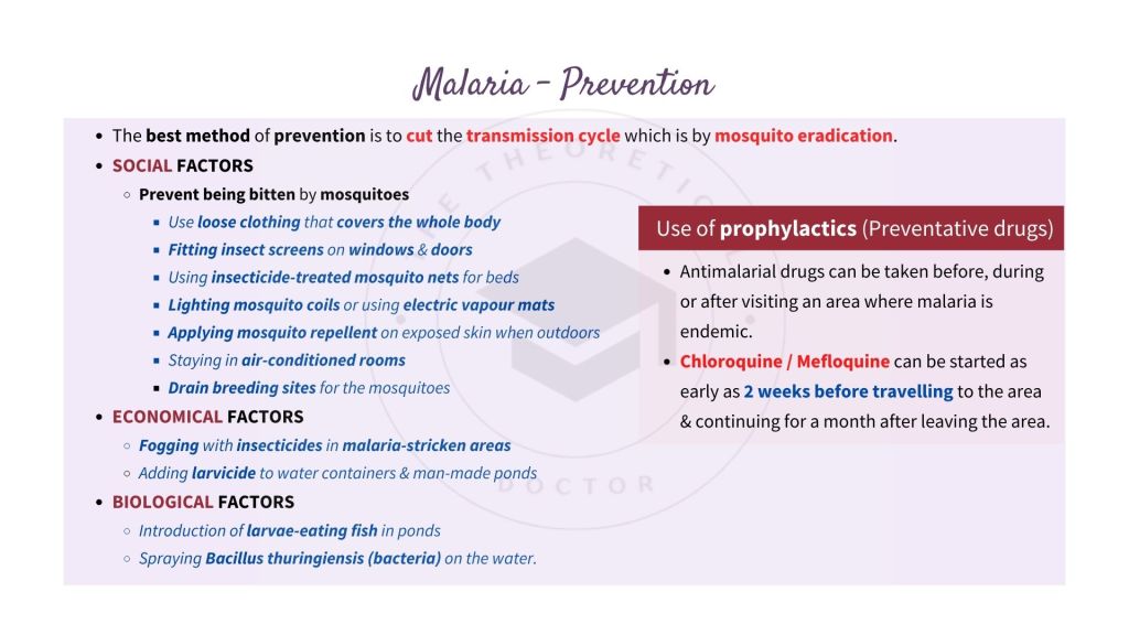 Prevention of malaria. Infectious Disease in STPM Biology Semester 2 Chapter 13