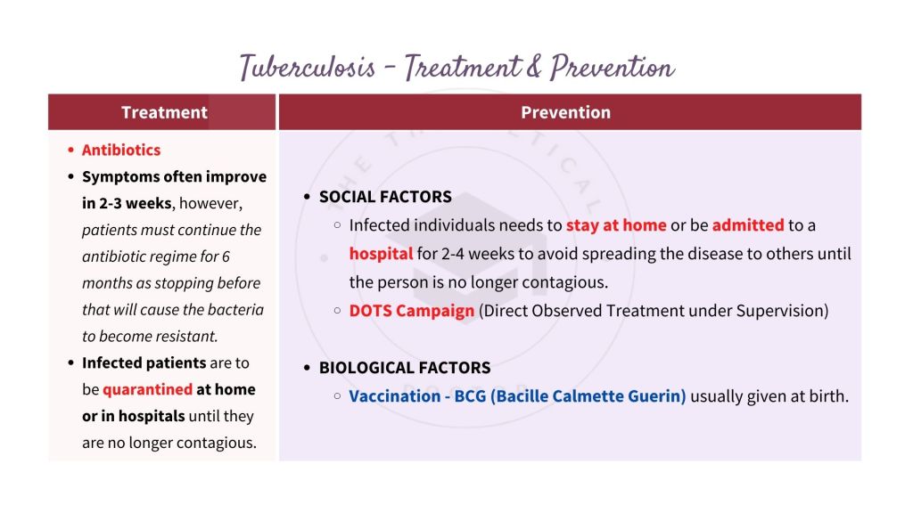 Treatment and prevention of tuberculosis. Infectious Disease in STPM Biology Semester 2 Chapter 13