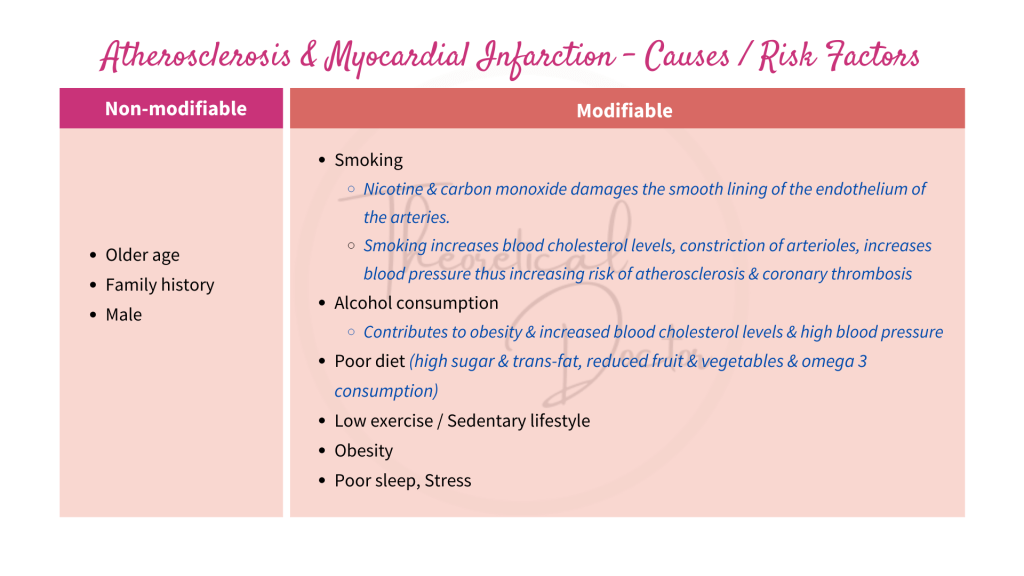 Explanation on the causes and risk factors of atherosclerosis and myocardial infarction.