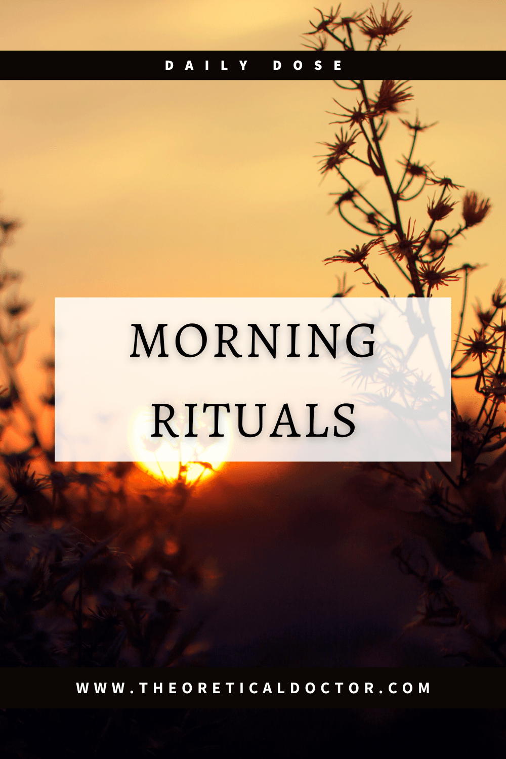 Morning Rituals